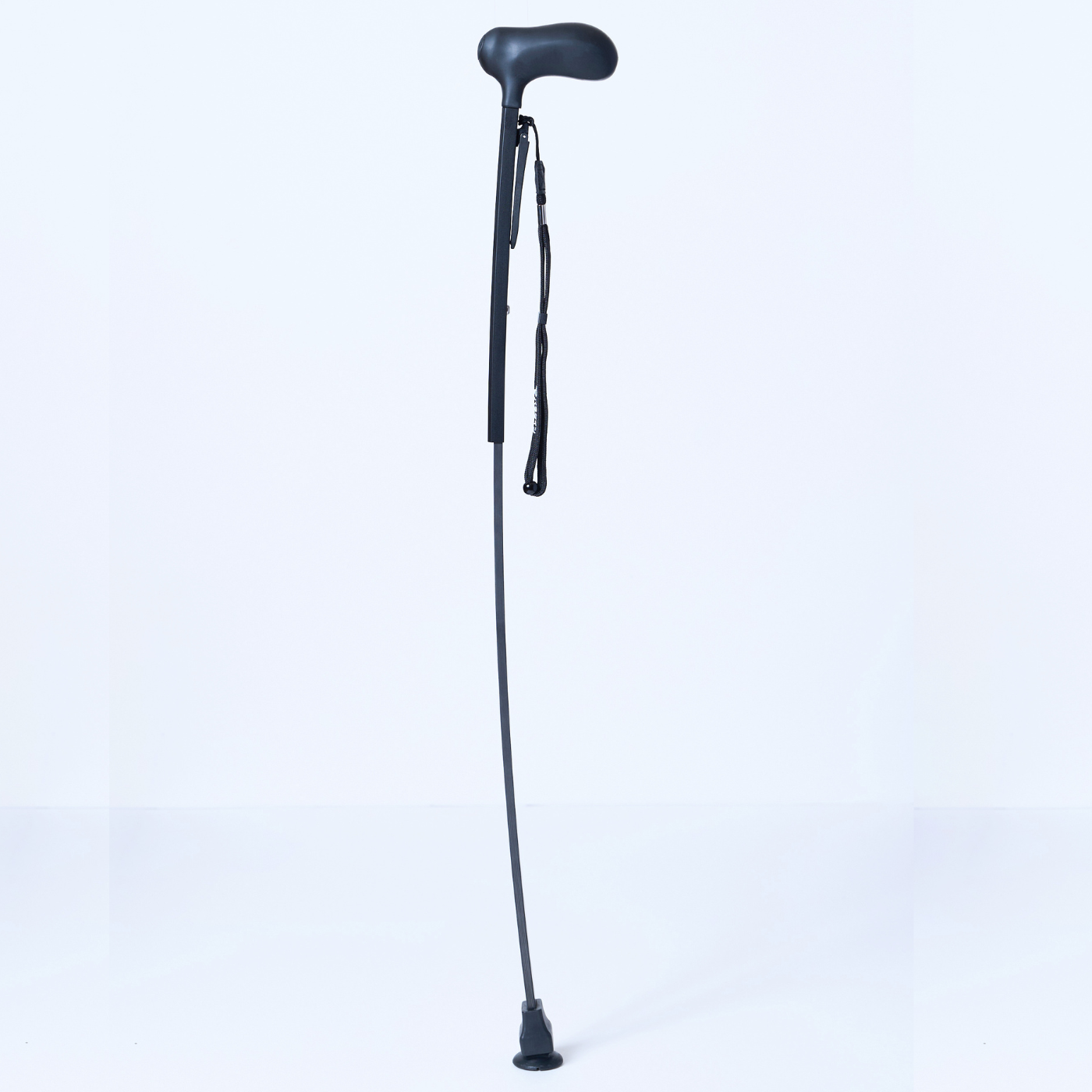 ロコケイン全体写真